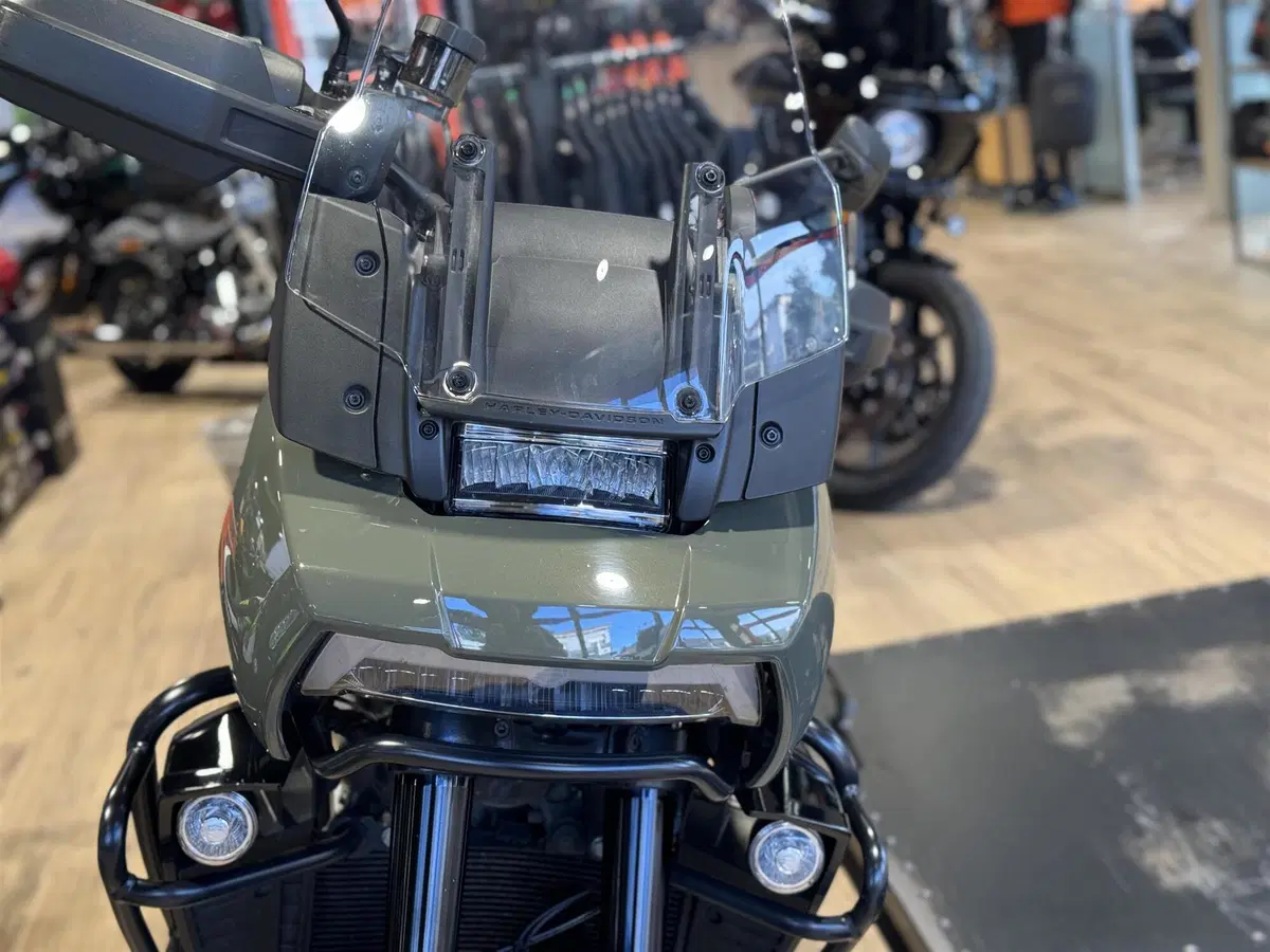 Harley-Davidson Pan America 1250 Special (2020 - 25) (5)