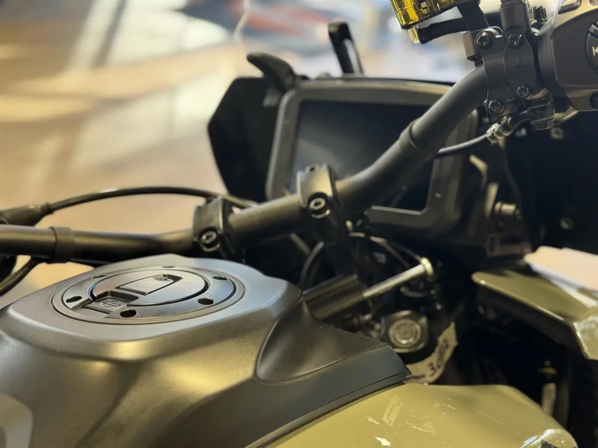 Harley-Davidson Pan America 1250 Special (2020 - 25) (4)