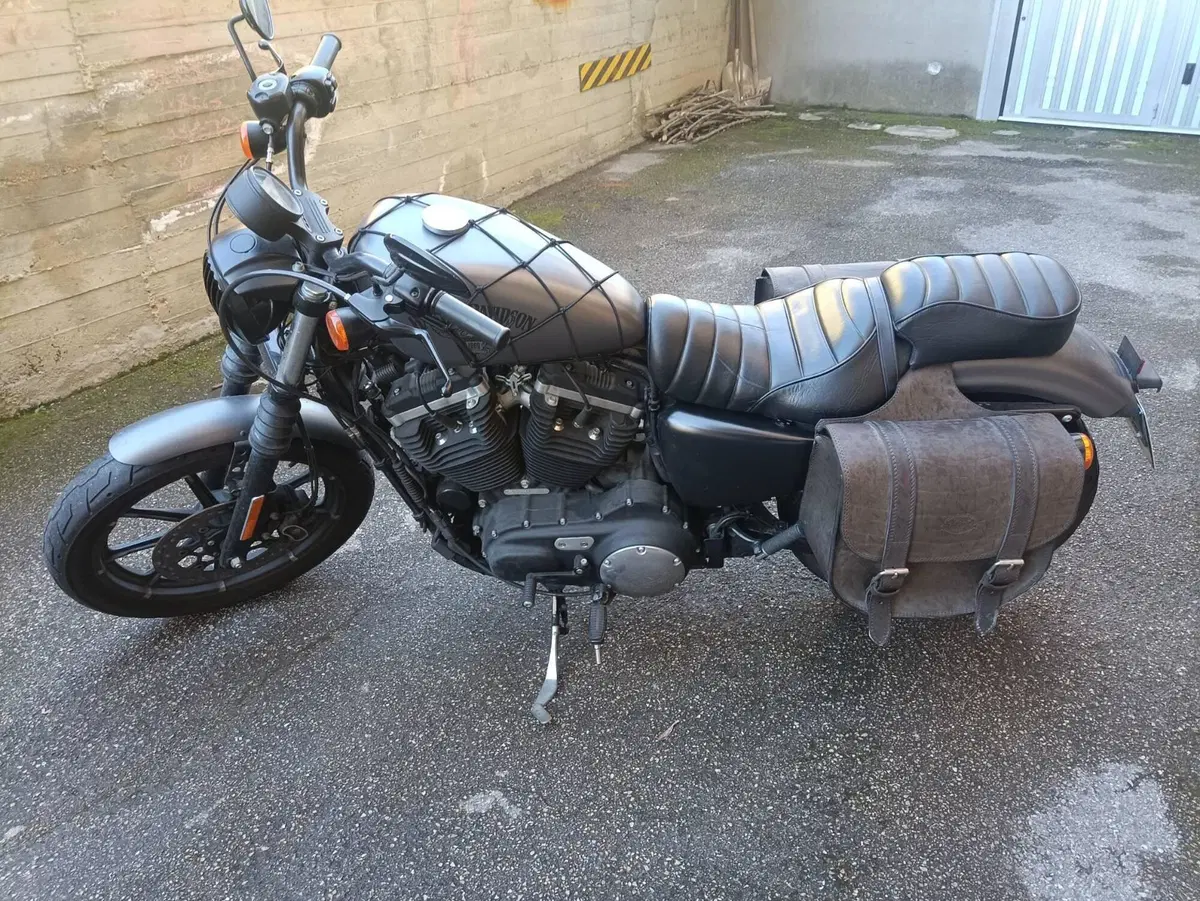 Harley-Davidson 883 Iron (2017 - 20) - XL 883N (2)