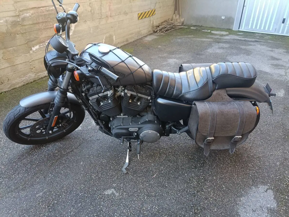 Harley-Davidson 883 Iron (2017 - 20) - XL 883N (3)