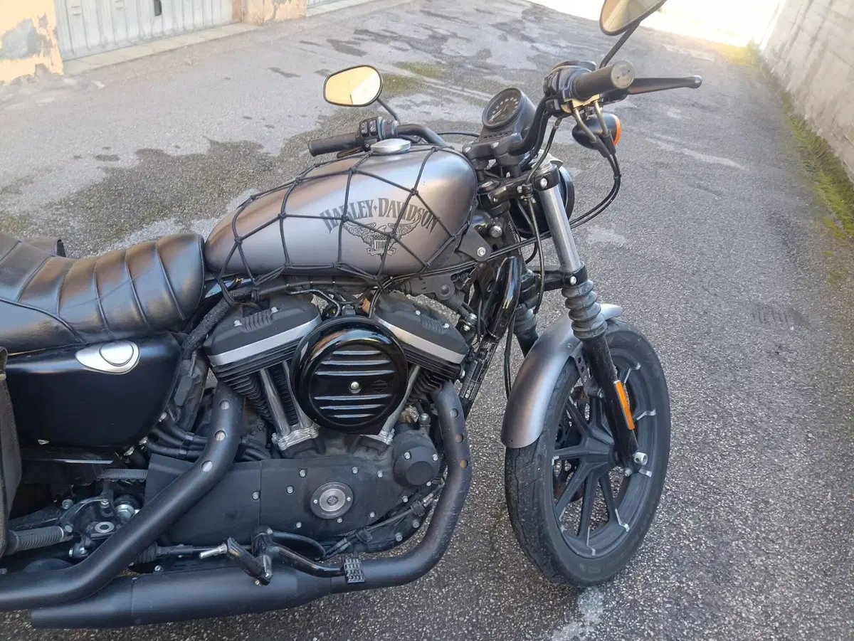 Harley-Davidson 883 Iron (2017 - 20) - XL 883N (8)