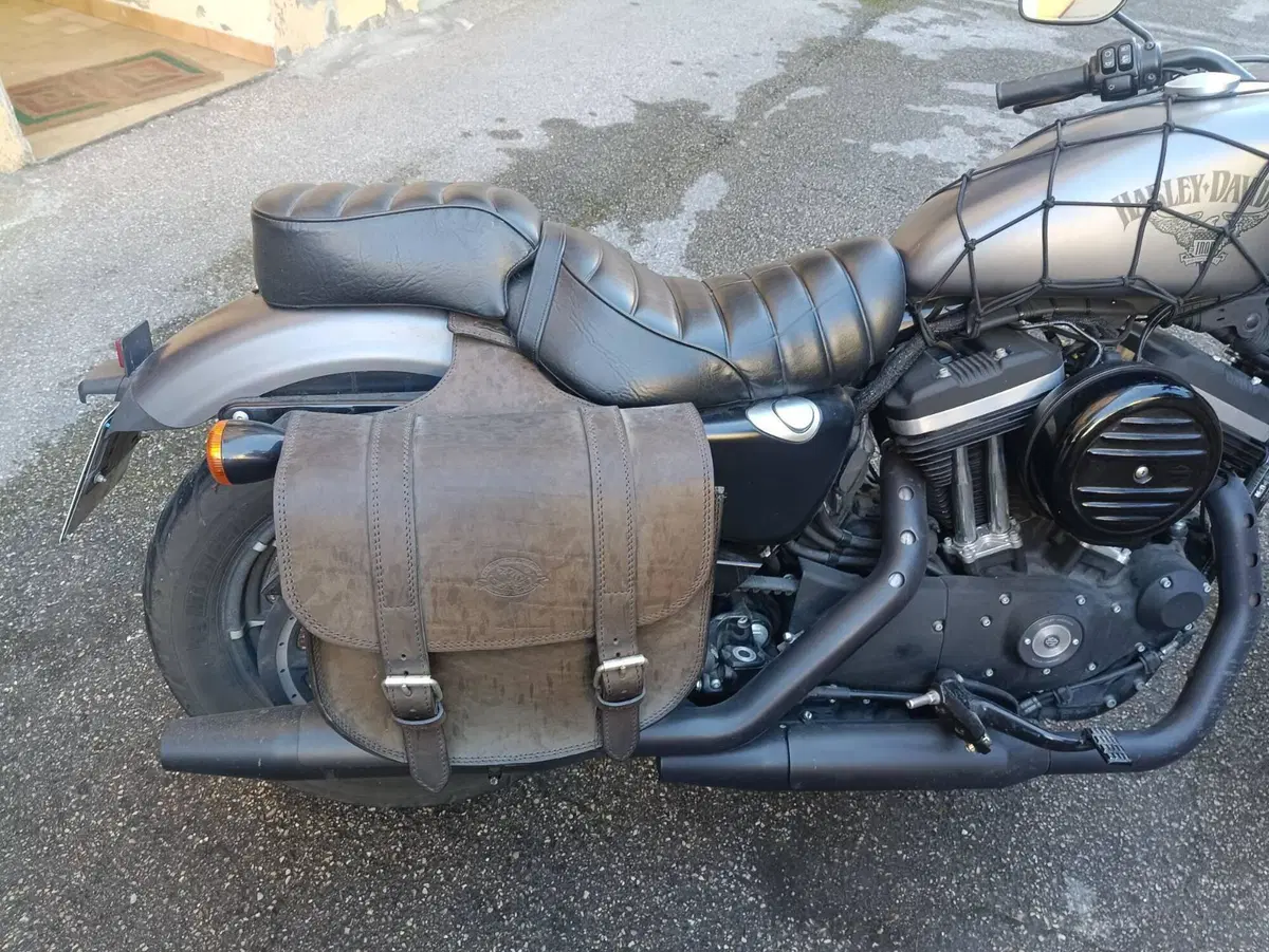 Harley-Davidson 883 Iron (2017 - 20) - XL 883N (9)