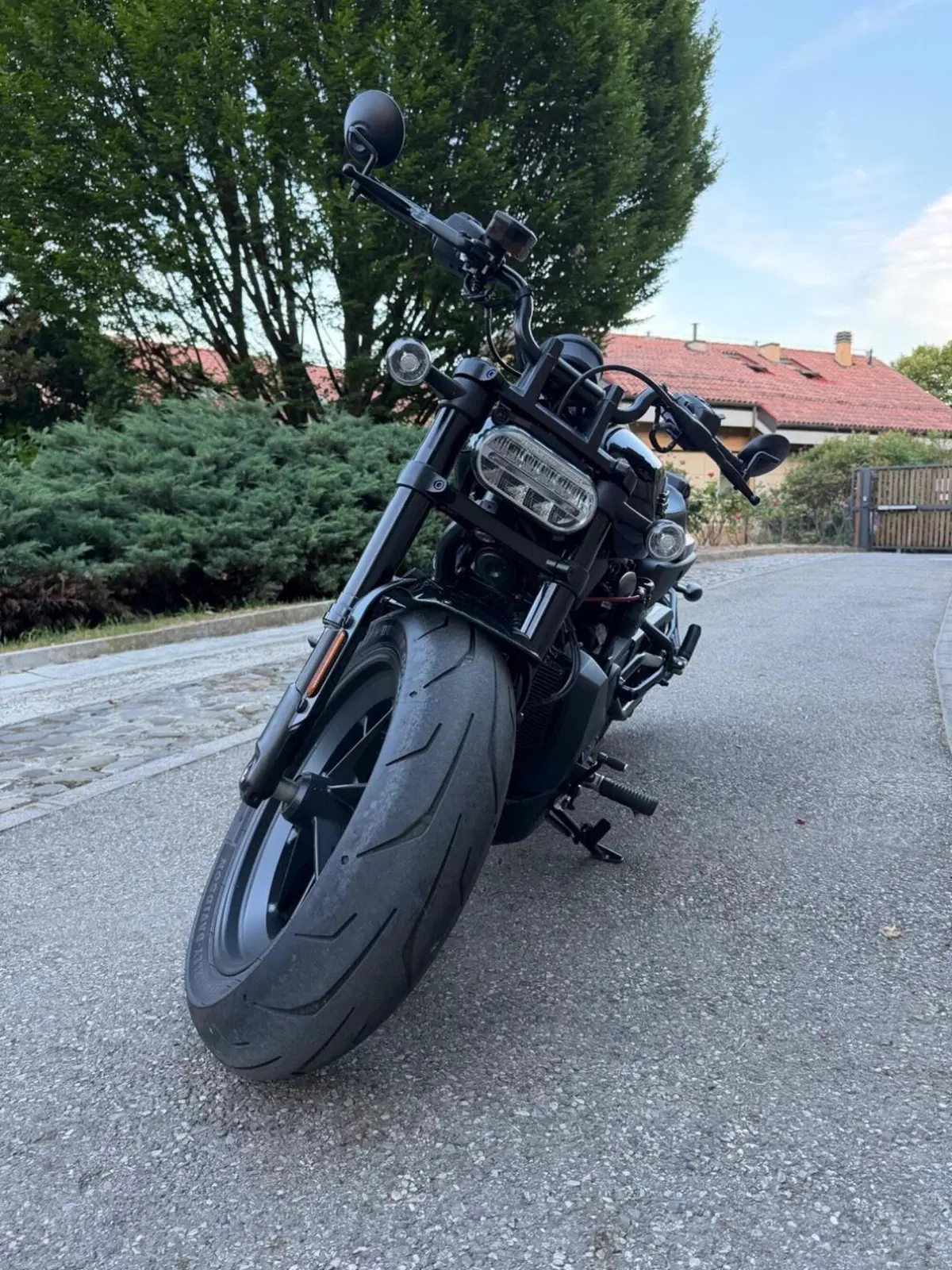 Harley-Davidson Sportster S (2025 - 26) (5)