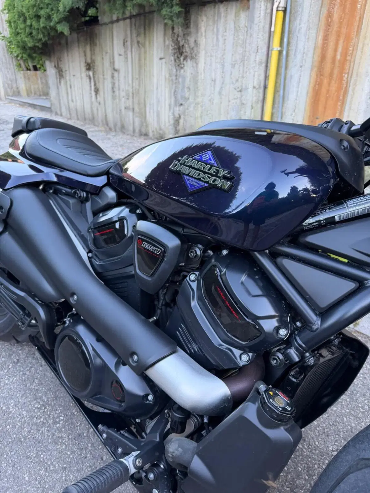 Harley-Davidson Sportster S (2025 - 26) (6)