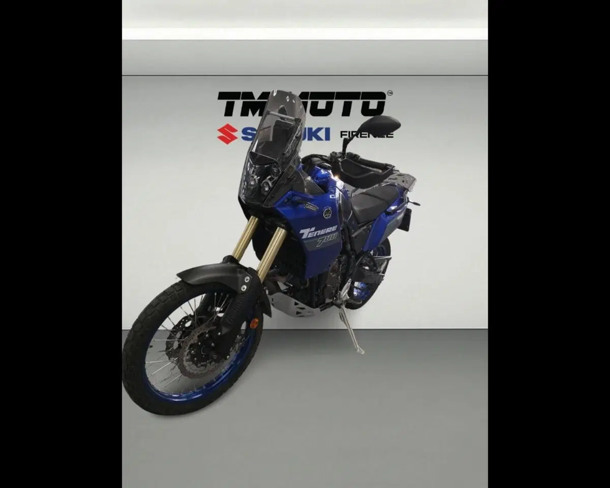 Yamaha Ténéré 700 World Rally (2023 - 25) (4)