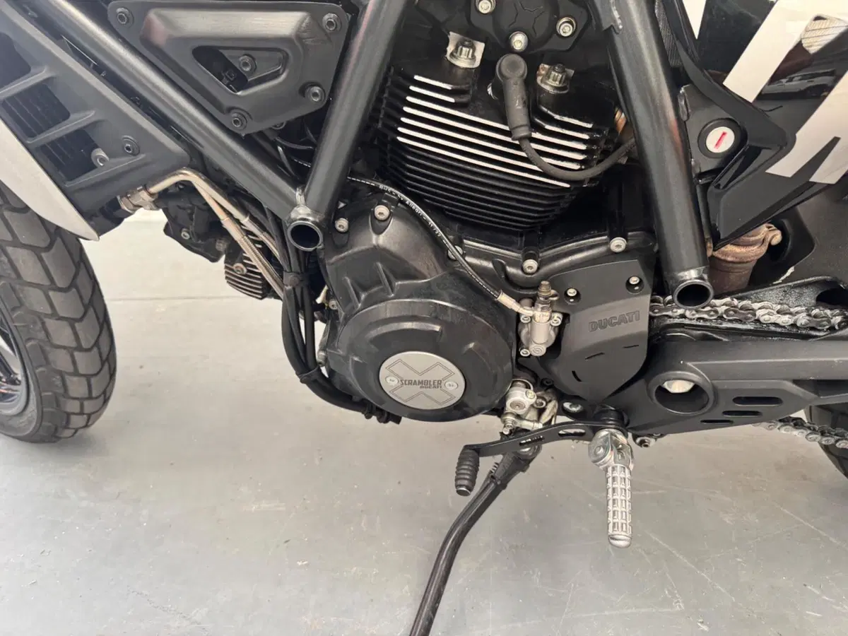 Ducati Scrambler 800 Icon (2023 - 24) (2)
