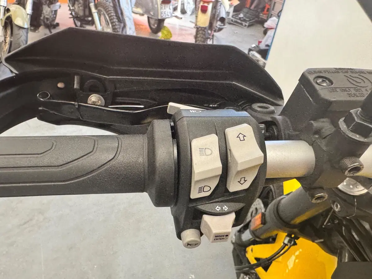 Ducati Scrambler 800 Icon (2023 - 24) (4)