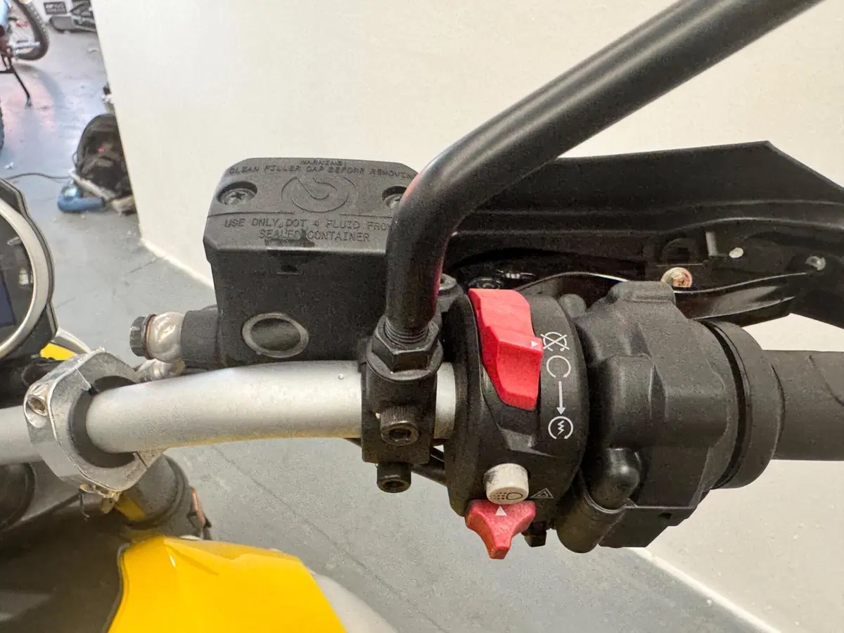 Ducati Scrambler 800 Icon (2023 - 24) (5)