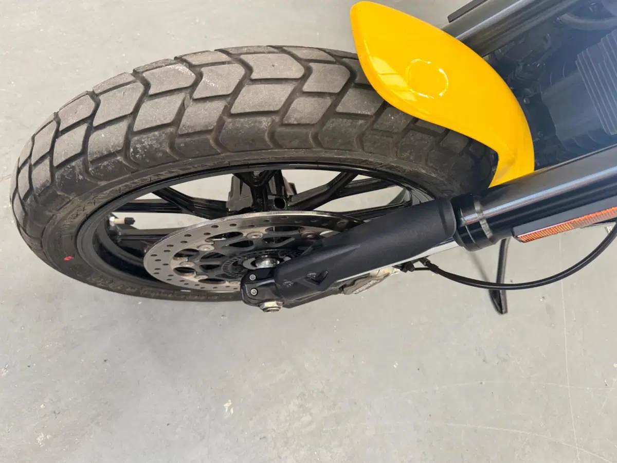 Ducati Scrambler 800 Icon (2023 - 24) (7)