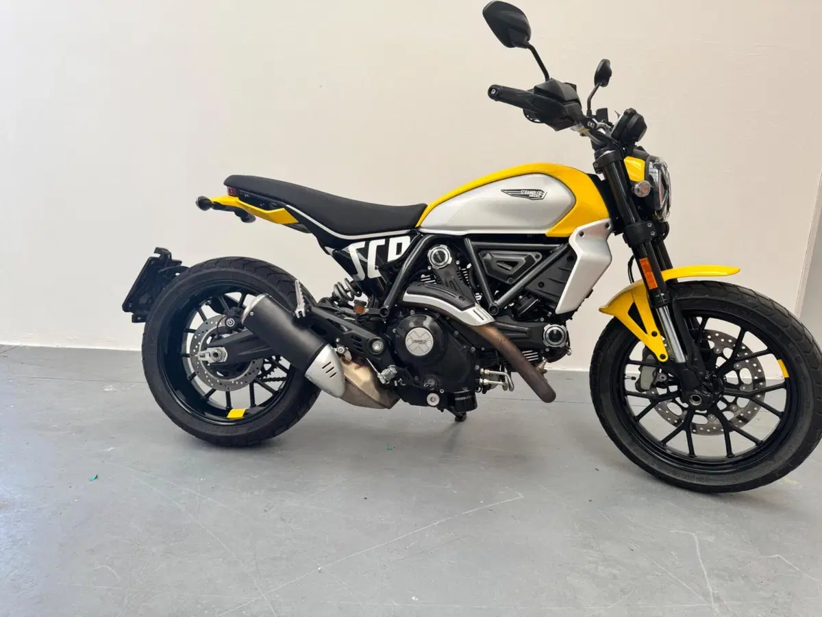 Ducati Scrambler 800 Icon (2023 - 24) (9)