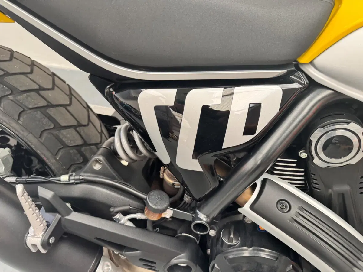 Ducati Scrambler 800 Icon (2023 - 24) (10)