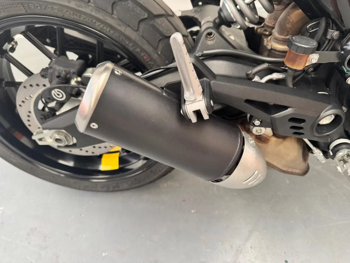 Ducati Scrambler 800 Icon (2023 - 24) (11)