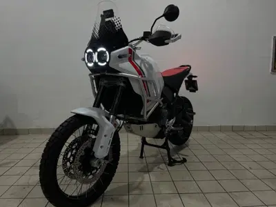 Ducati DesertX (2022 - 25) usata
