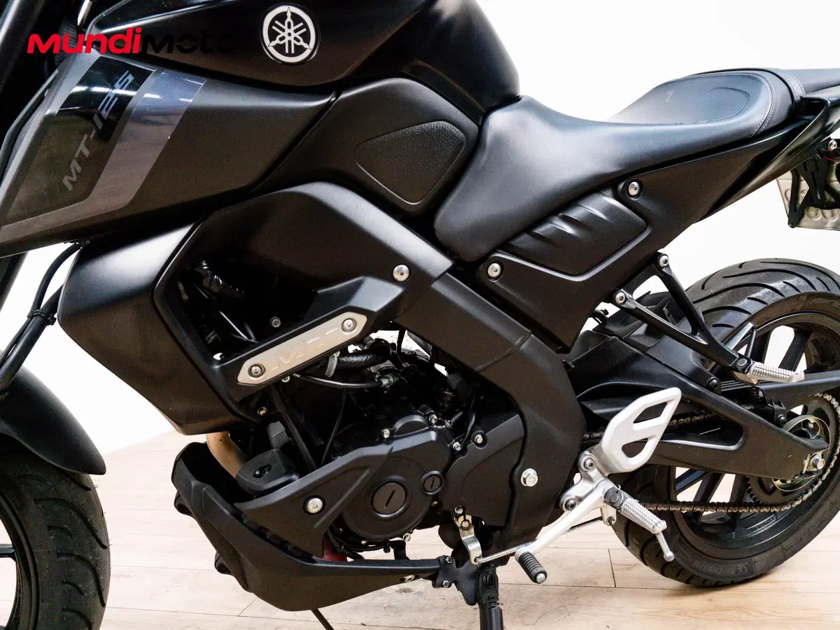 Yamaha MT-125 (2021 - 24) (9)