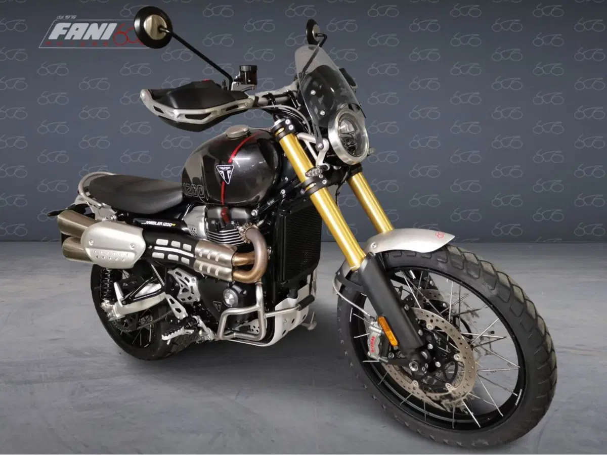 Triumph Scrambler 1200 XE (2024 - 25) (2)