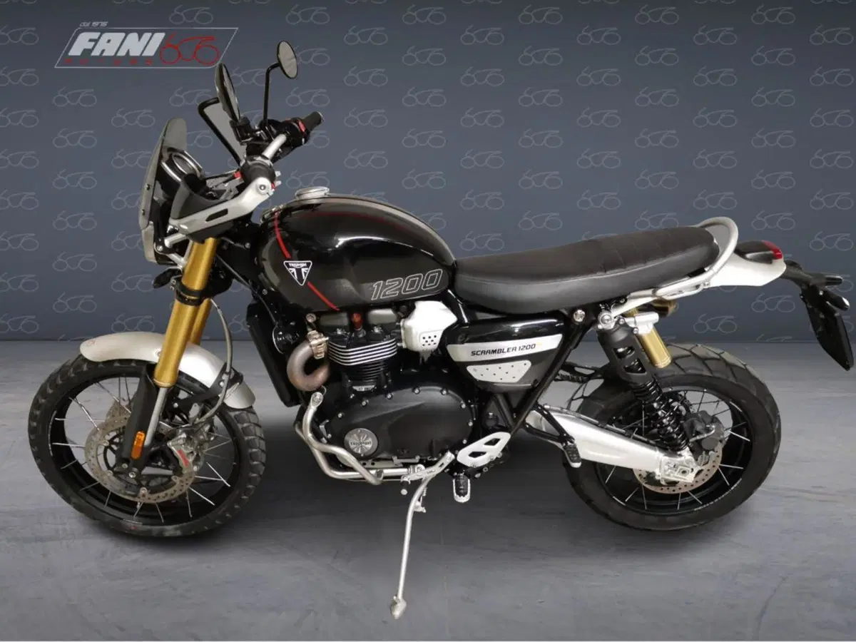 Triumph Scrambler 1200 XE (2024 - 25) (3)