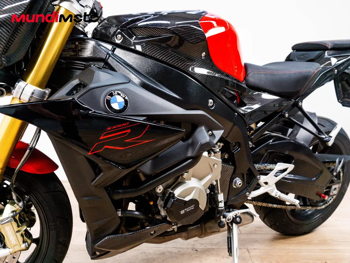 Bmw S 1000 R (2014 - 16) (9)