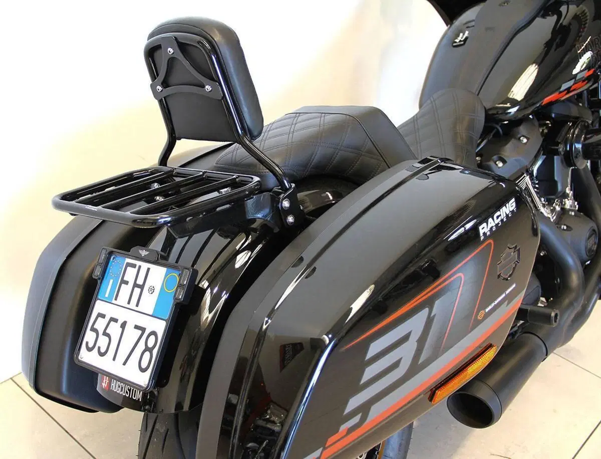 Harley-Davidson Low Rider ST (2022 - 24) (11)