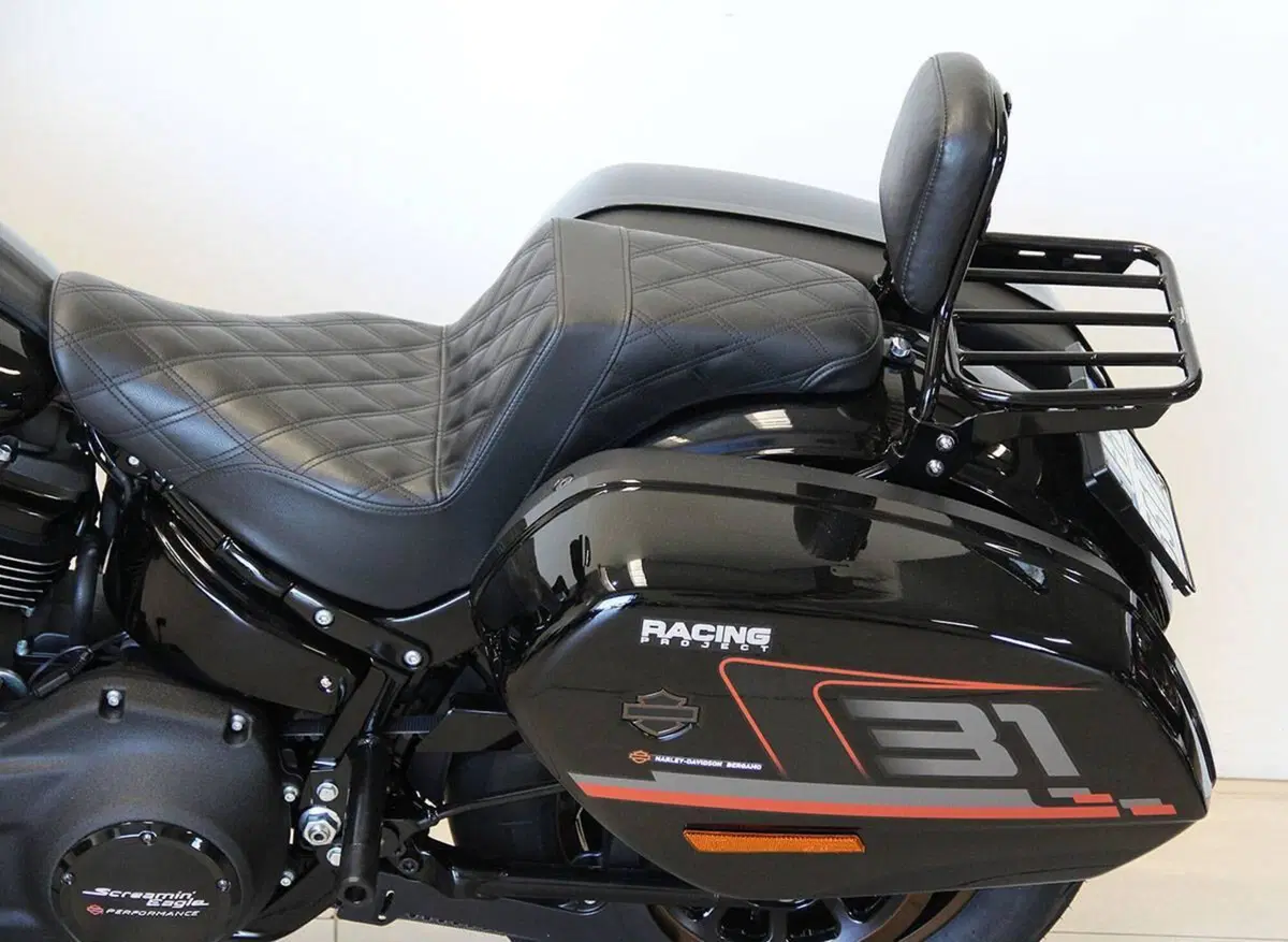 Harley-Davidson Low Rider ST (2022 - 24) (15)