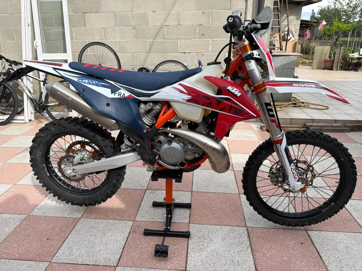 KTM 250 EXC TPI Six Days (2023) (3)