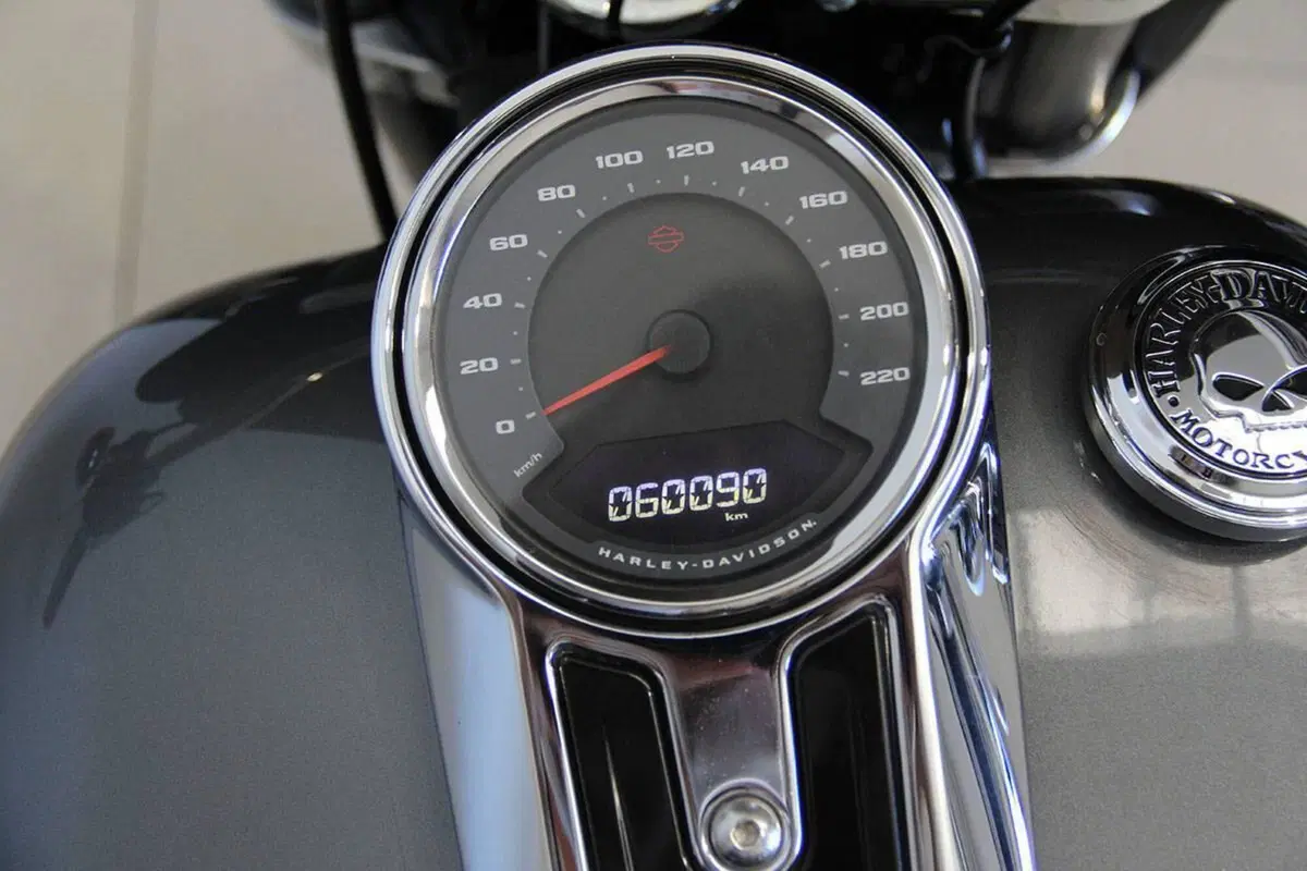 Harley-Davidson Sport Glide (2021 - 25) (10)