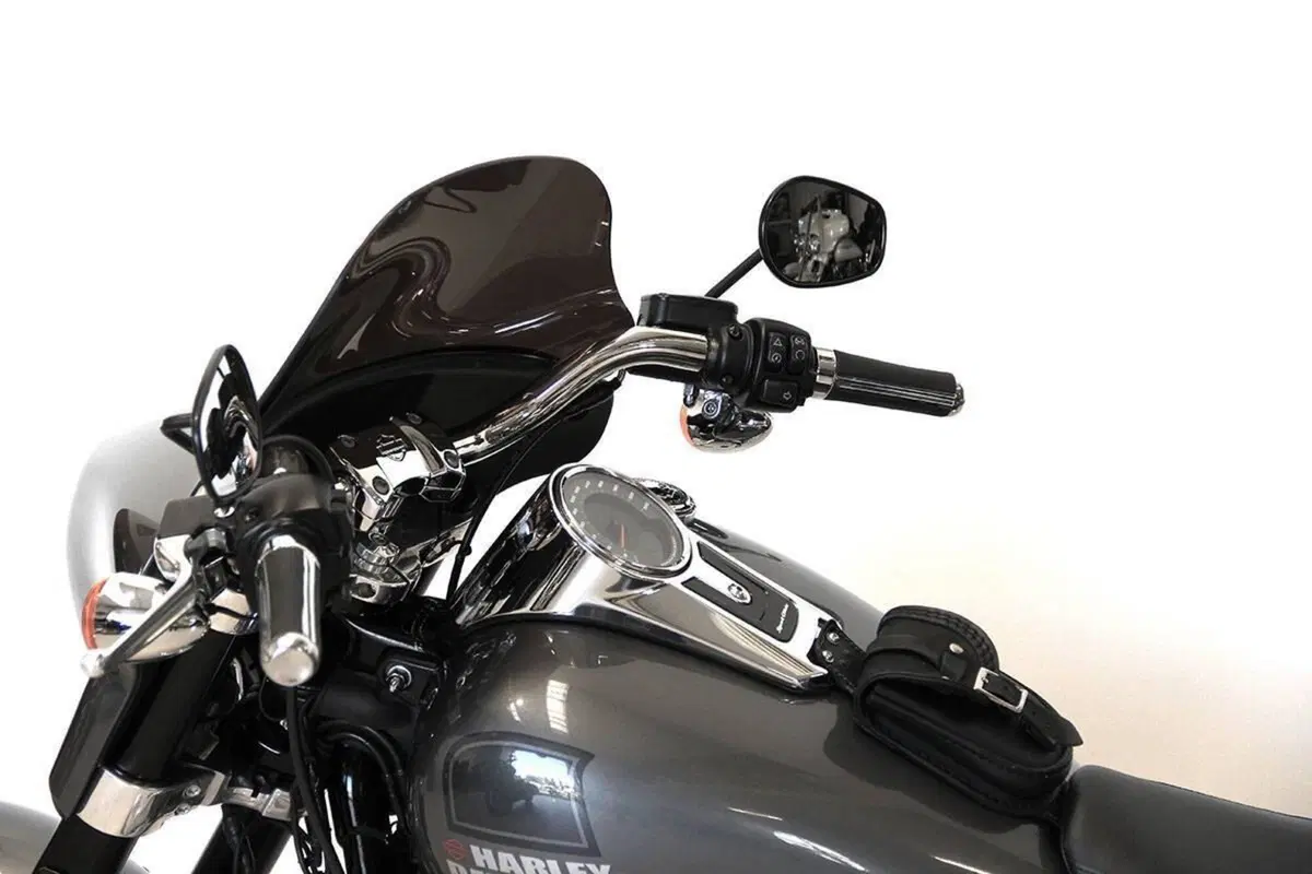 Harley-Davidson Sport Glide (2021 - 25) (13)