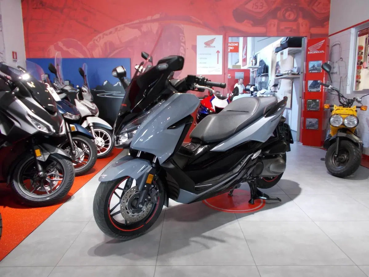 Honda Forza 300 (2019 - 20) (2)