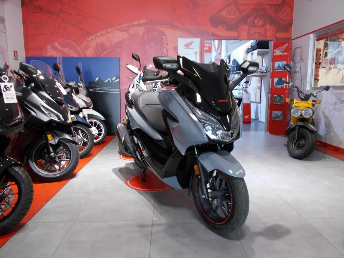 Honda Forza 300 (2019 - 20) (7)