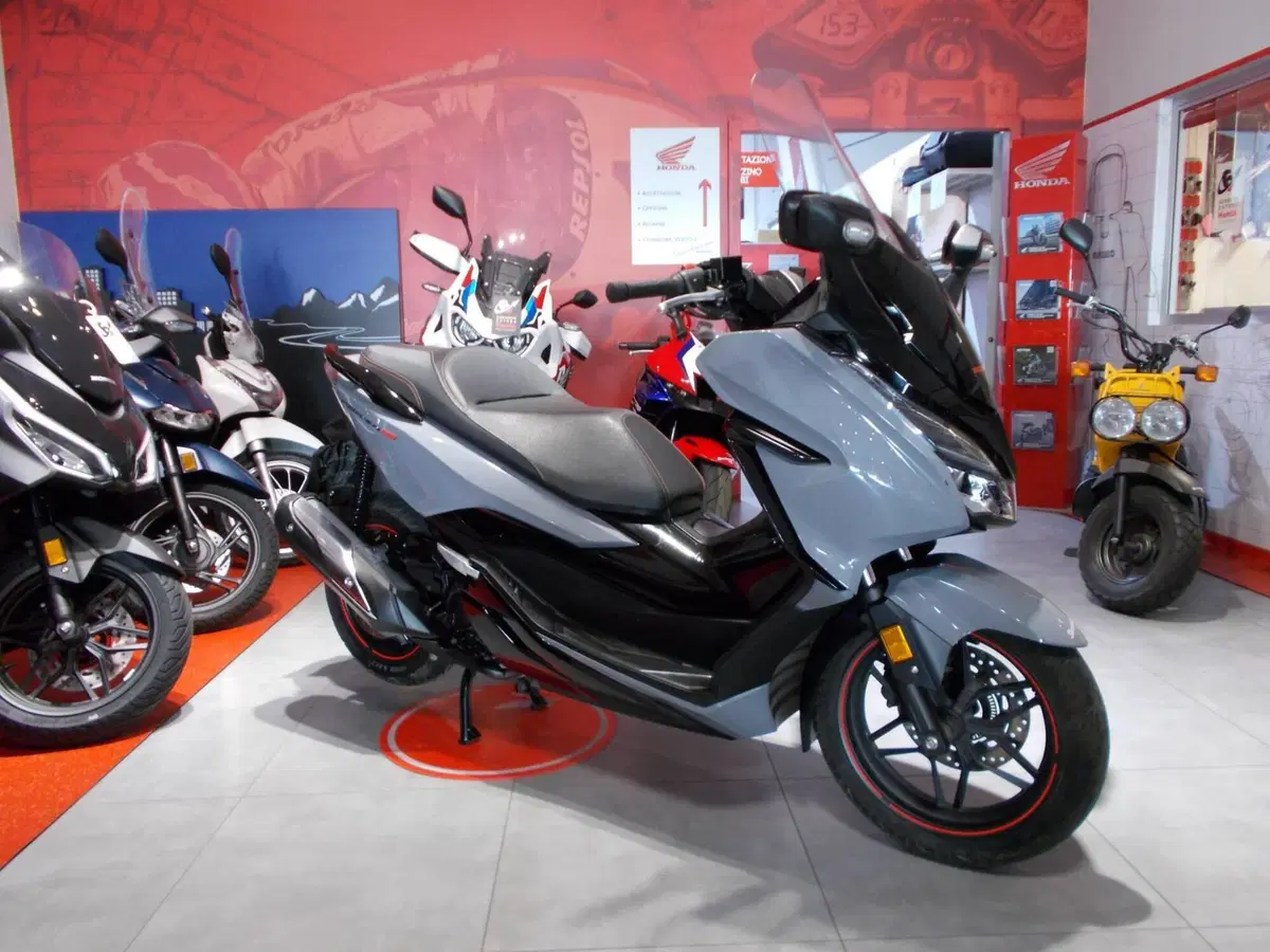 Honda Forza 300 (2019 - 20) (8)