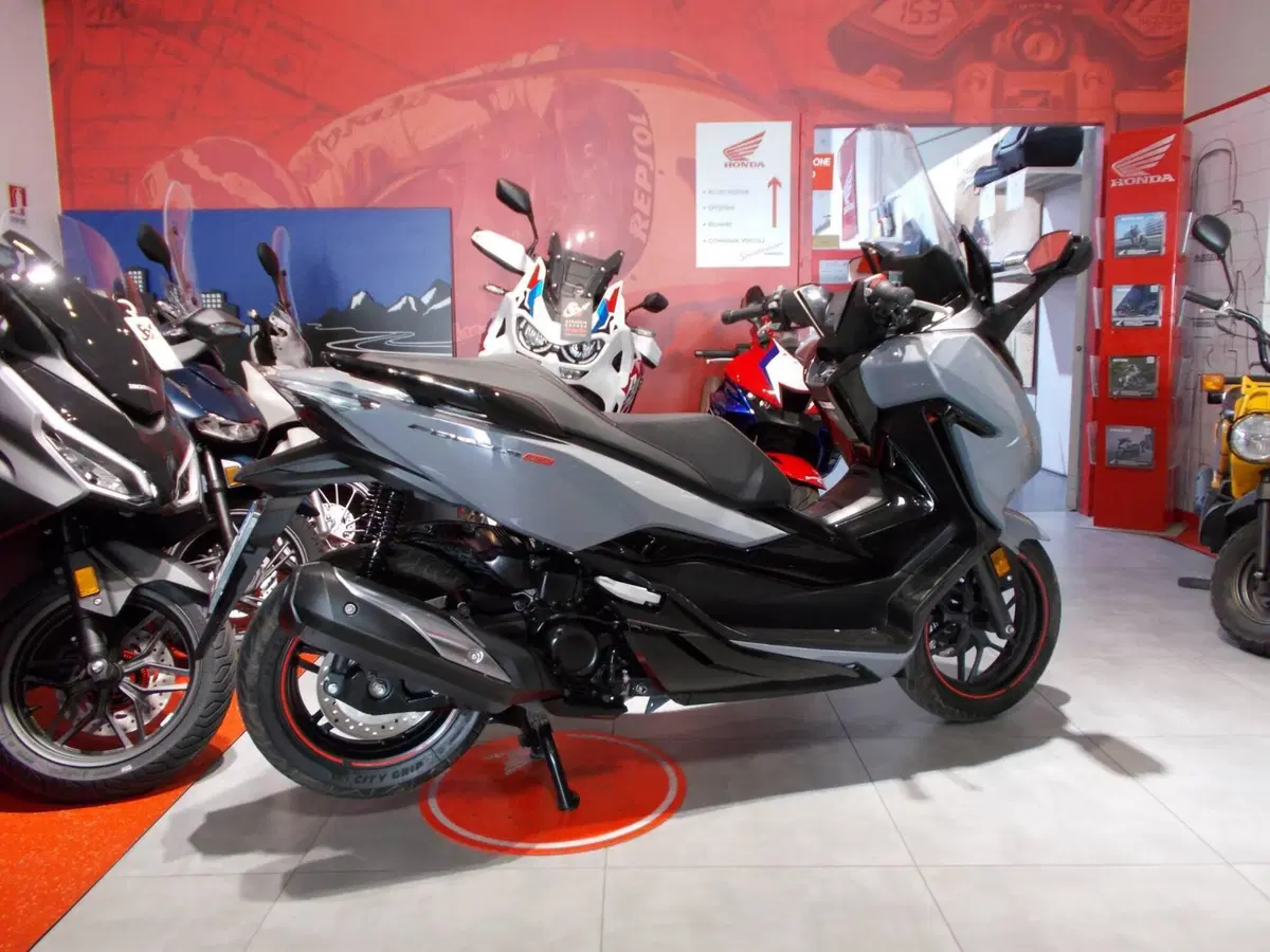 Honda Forza 300 (2019 - 20) (10)
