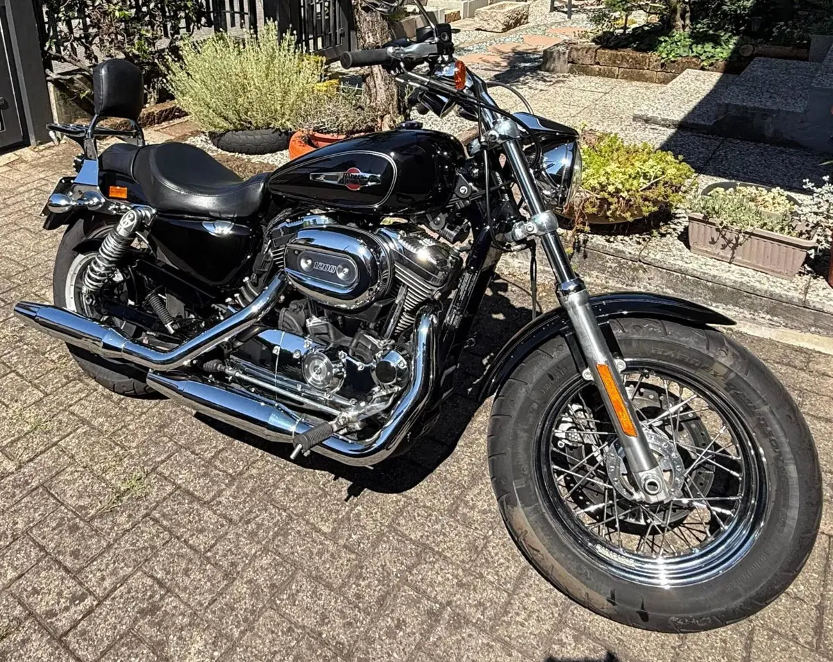 Harley-Davidson 1200 Custom ABS (2014 - 16) - XL 1200C (4)