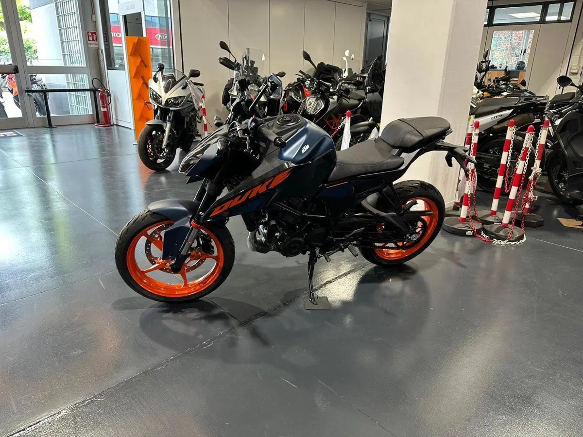 KTM 125 Duke (2024 - 25) (5)
