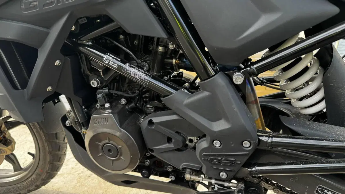 Bmw G 310 GS (2021 - 25) (2)