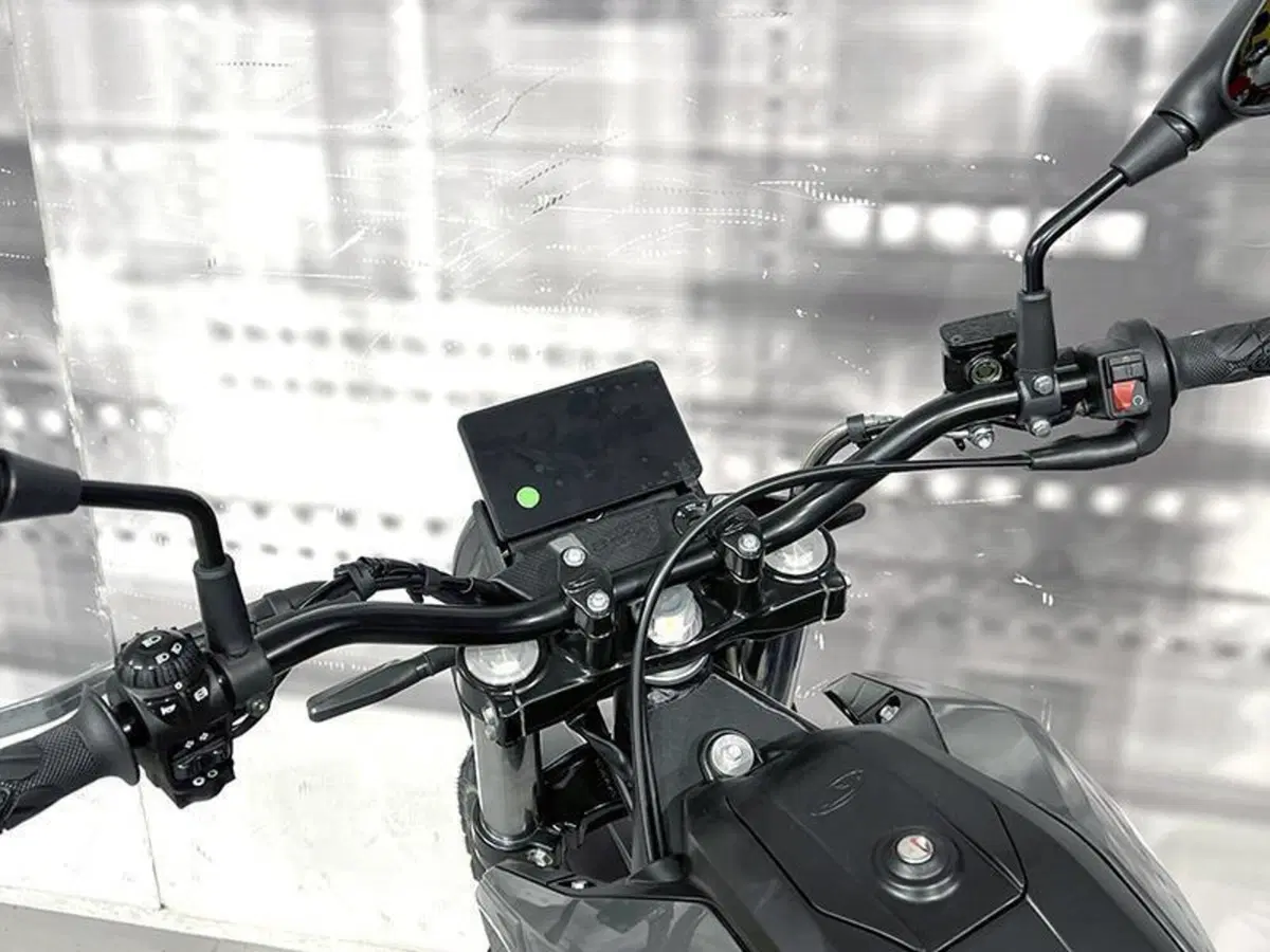 Betamotor Alp 200 (2021 - 25) (6)