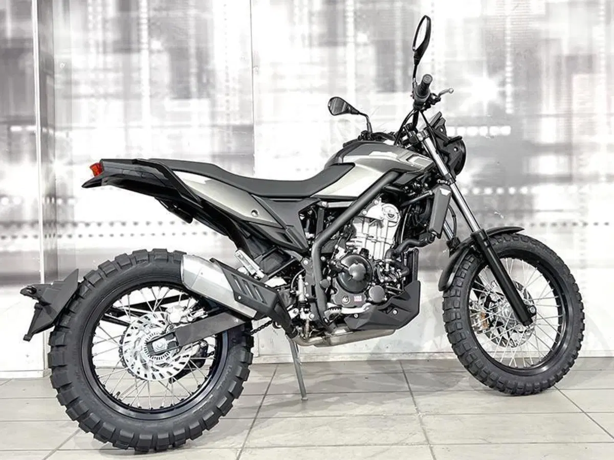 Betamotor Alp 200 (2021 - 25) (8)