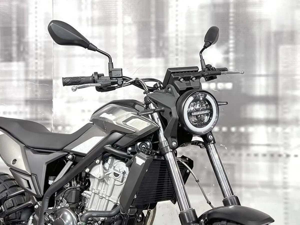 Betamotor Alp 200 (2021 - 25) (9)