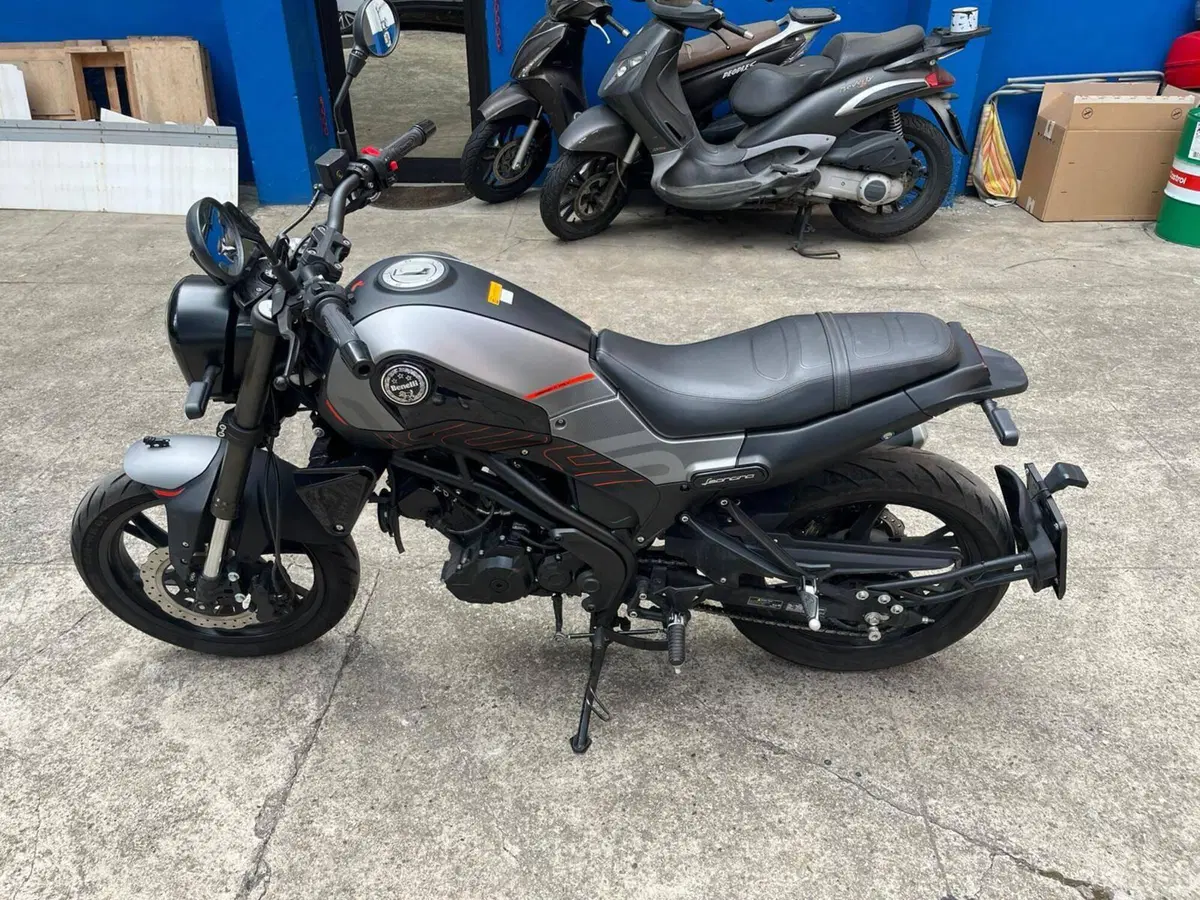 Benelli Leoncino 125 (2022 - 25)