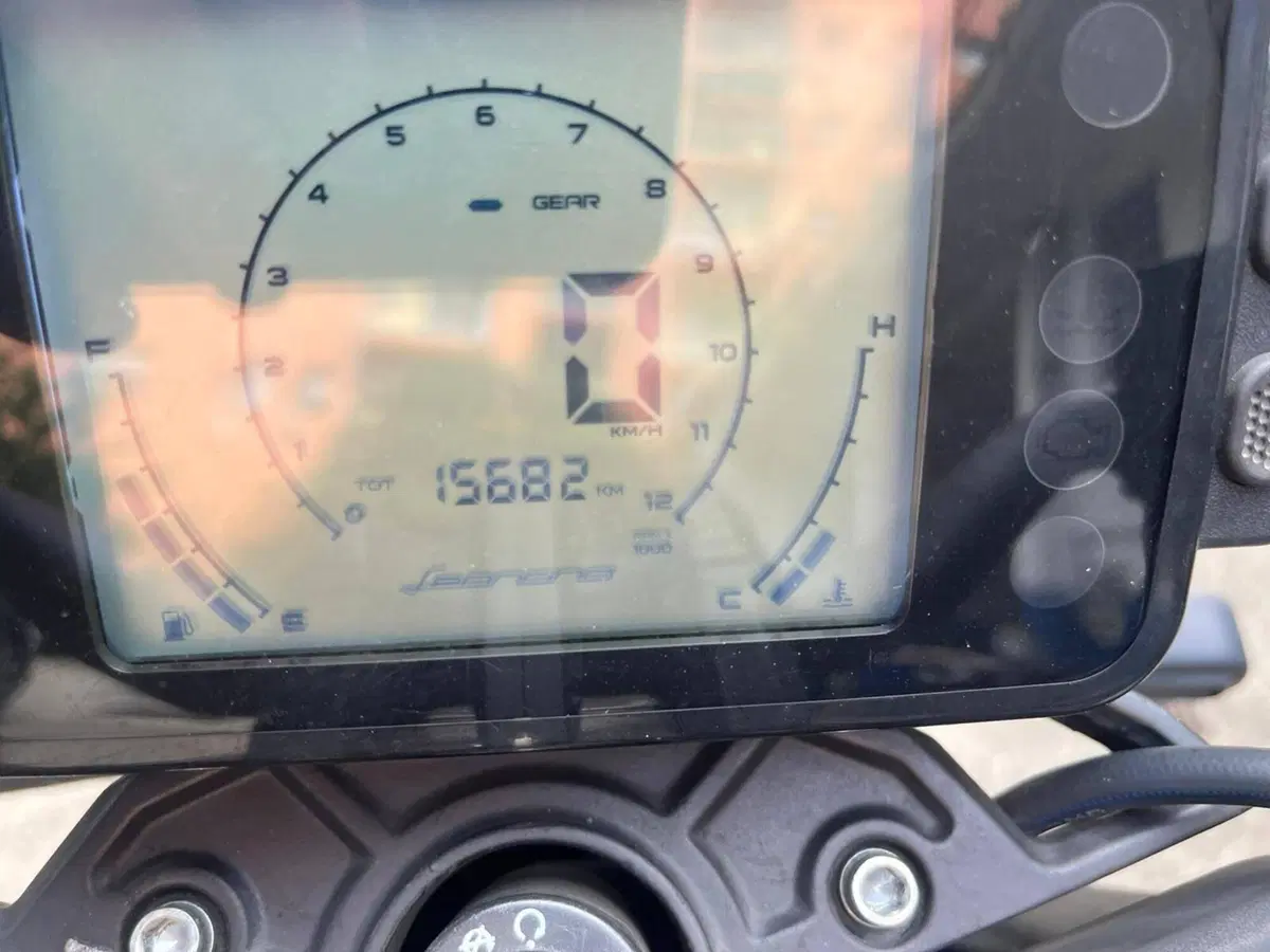 Benelli Leoncino 125 (2022 - 25) (4)