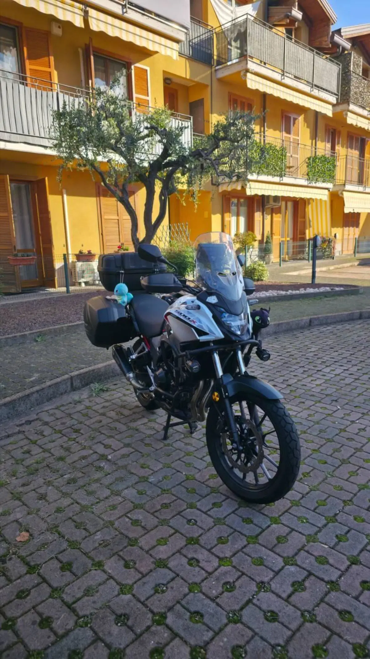 Honda CB 500 X Travel Edition (2022 - 23) (6)
