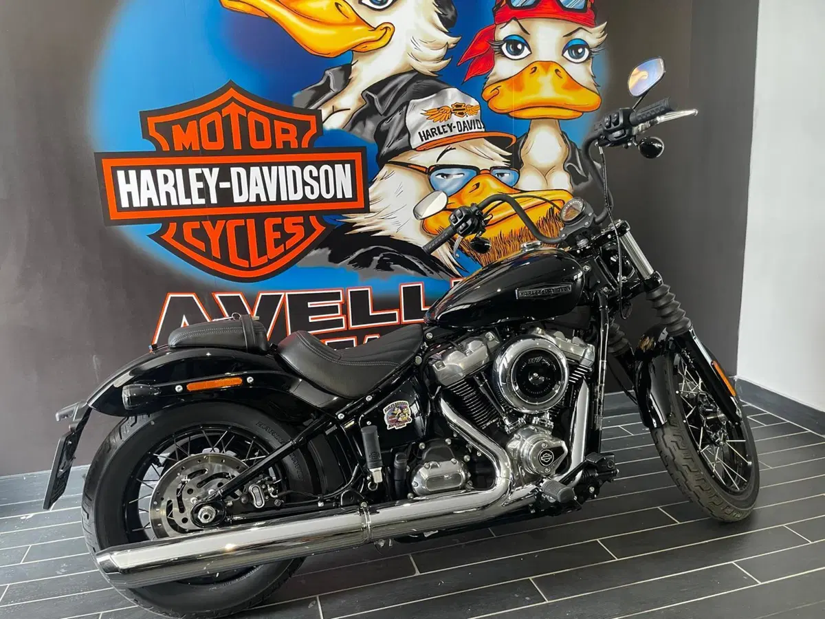 Harley-Davidson Street Bob 117 (2025 - 26) (8)