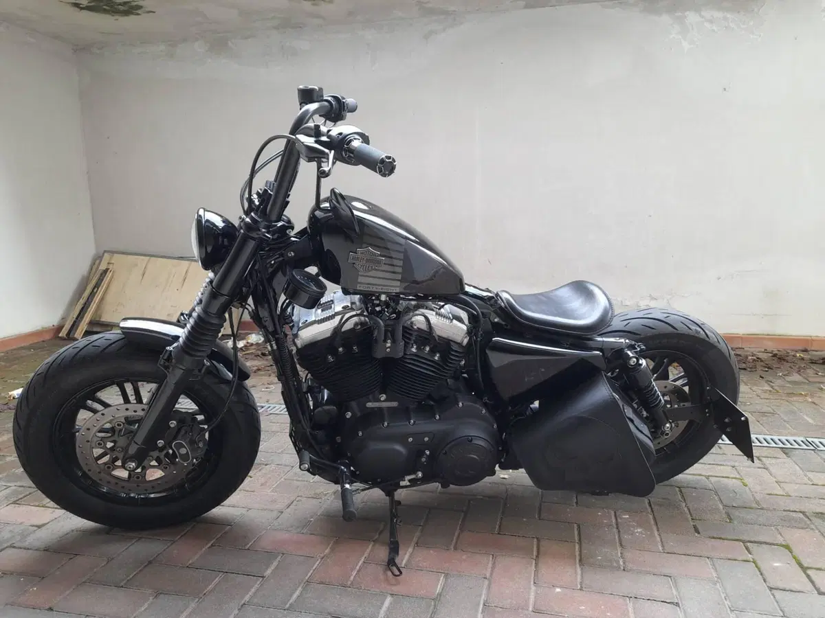 Harley-Davidson 1200 Forty-Eight (2016 - 20) (2)