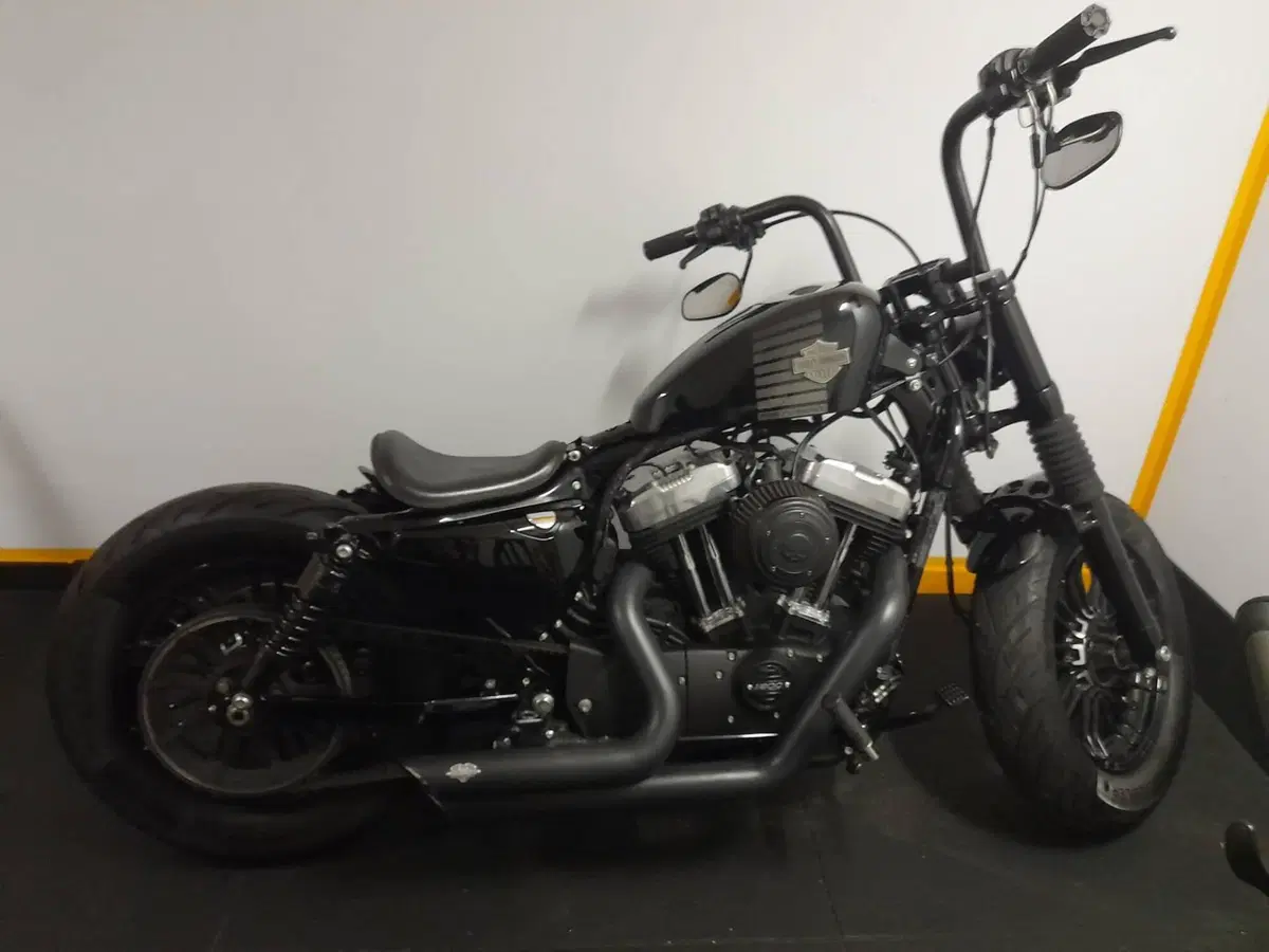 Harley-Davidson 1200 Forty-Eight (2016 - 20) (14)