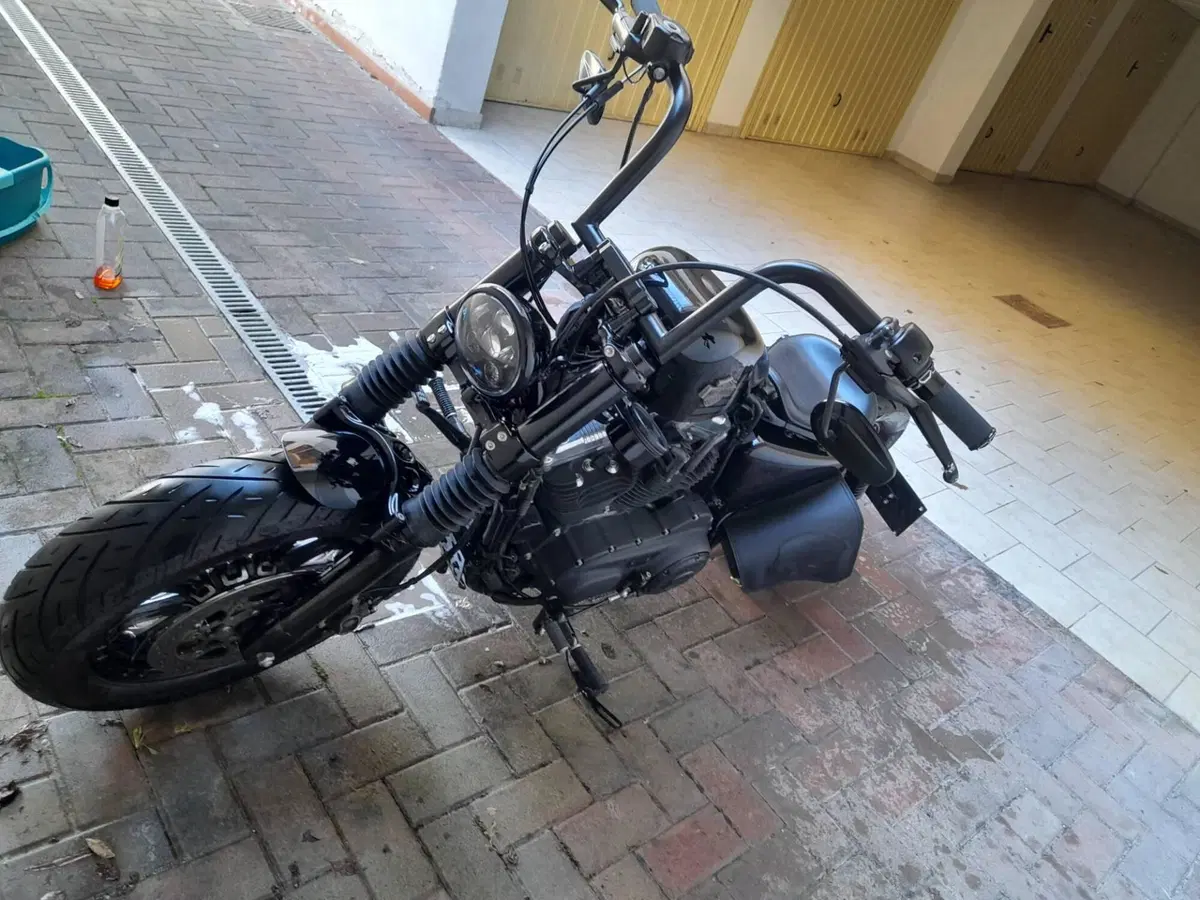 Harley-Davidson 1200 Forty-Eight (2016 - 20) (15)