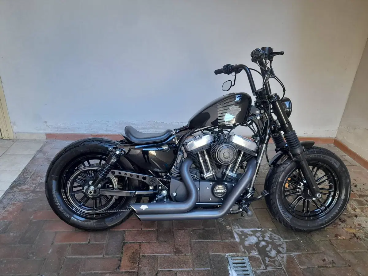Harley-Davidson 1200 Forty-Eight (2016 - 20) (16)