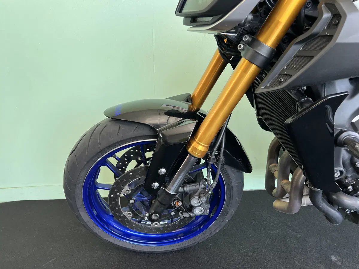 Yamaha MT-09 SP (2018 - 20) (19)
