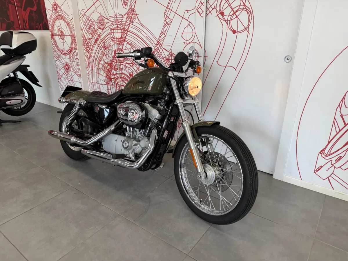 Harley-Davidson 883 Custom (2001 - 05) - XL 53C (2)
