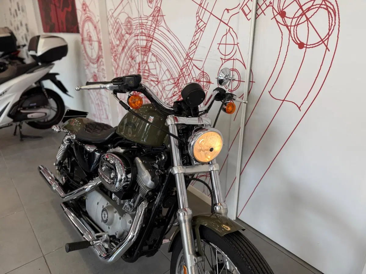 Harley-Davidson 883 Custom (2001 - 05) - XL 53C (9)