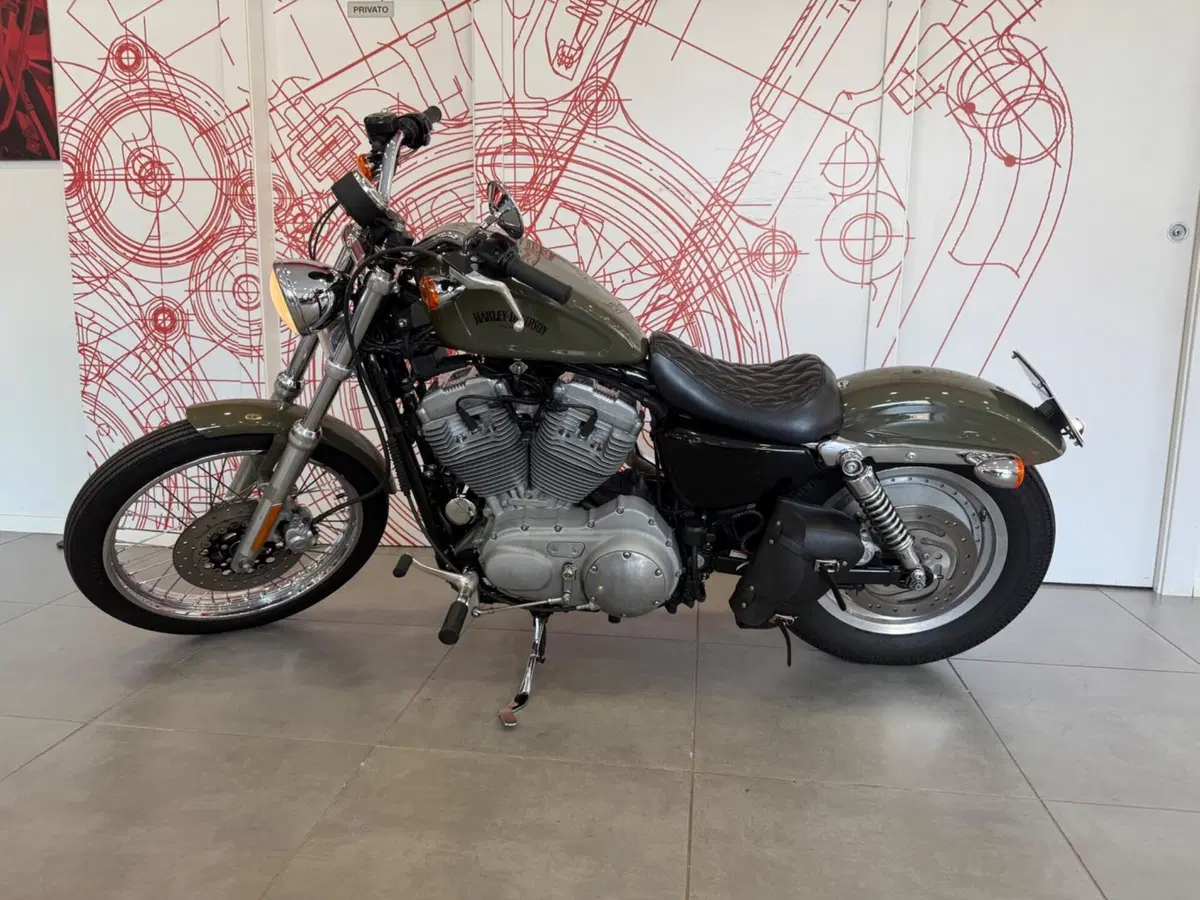 Harley-Davidson 883 Custom (2001 - 05) - XL 53C (4)