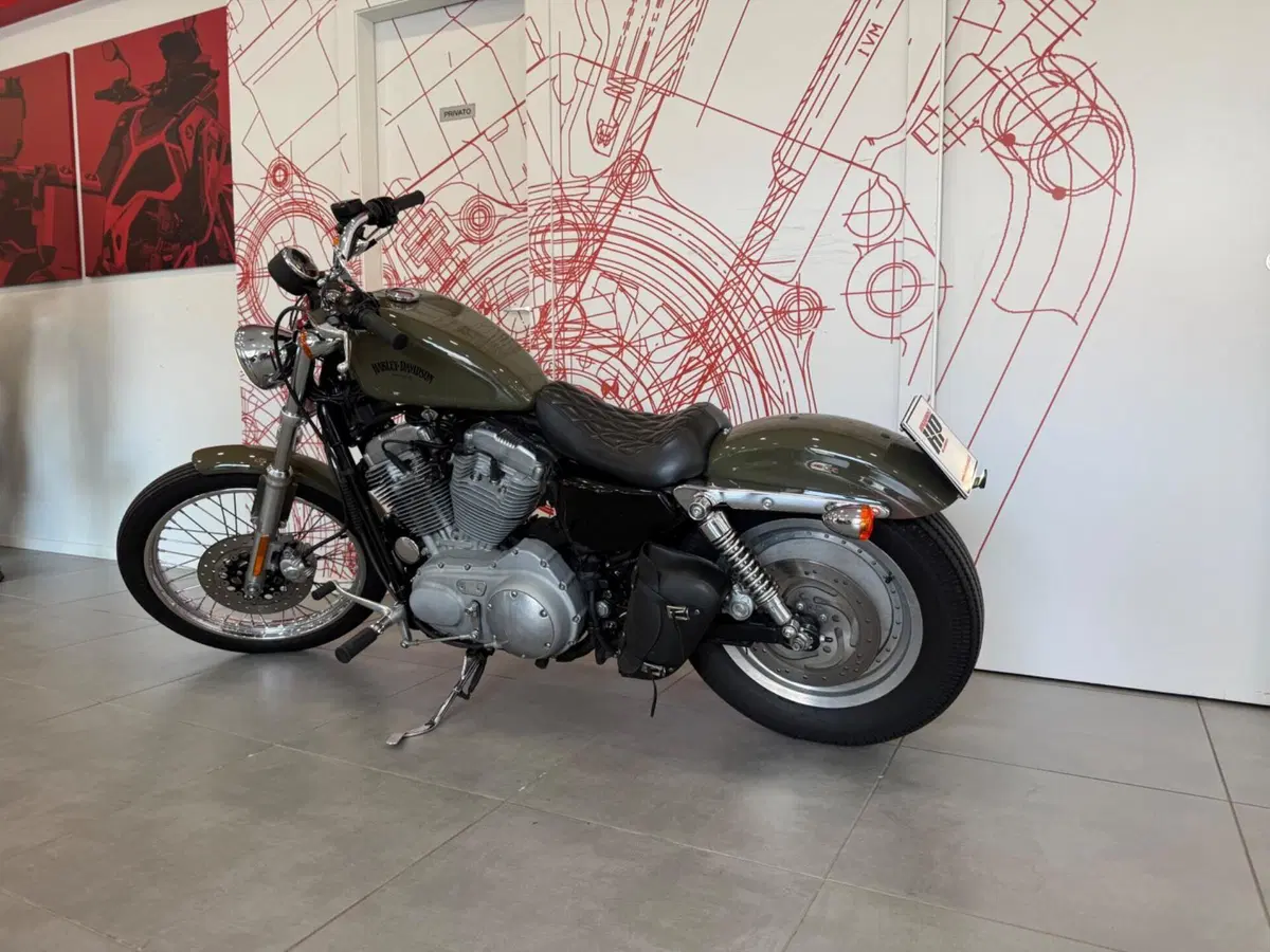 Harley-Davidson 883 Custom (2001 - 05) - XL 53C (6)