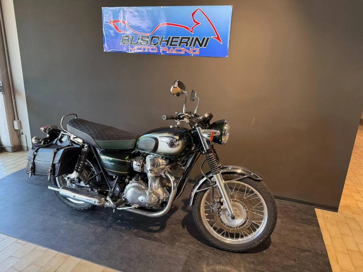 Kawasaki W 800 (2010 - 17) (7)